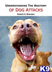 Dog Bite Experts Expert Court Witness in all  50 states